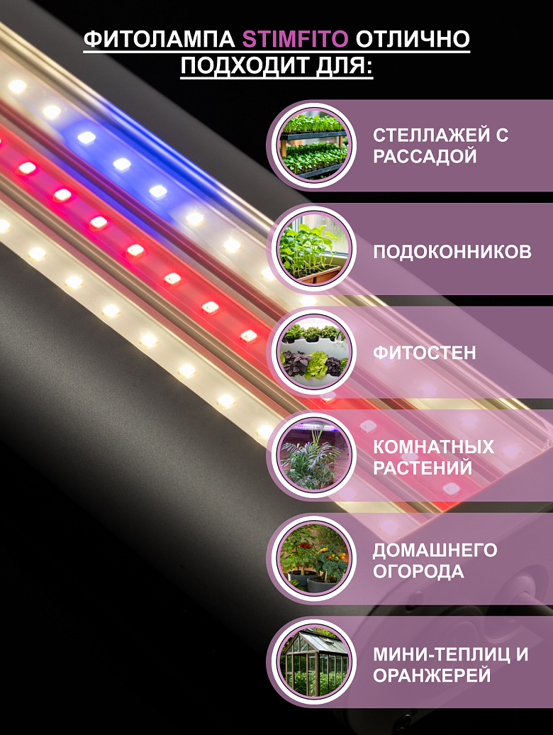 серебро8