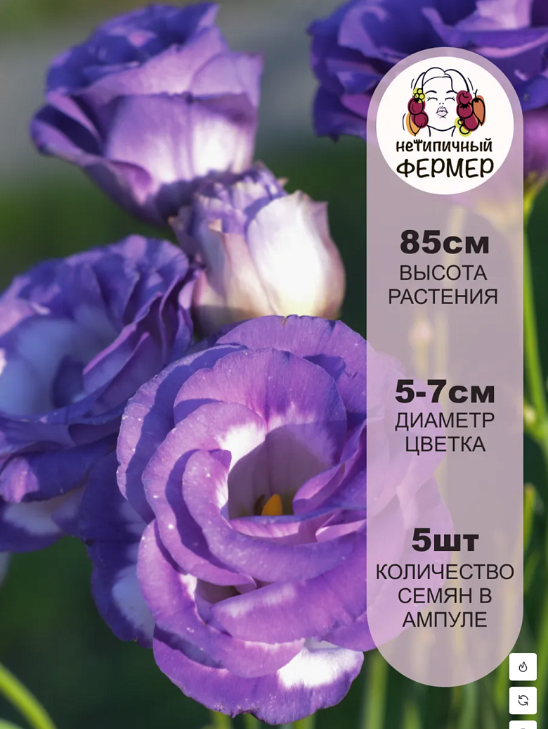 Снимок экрана 2025-12-19 в 00.15.53