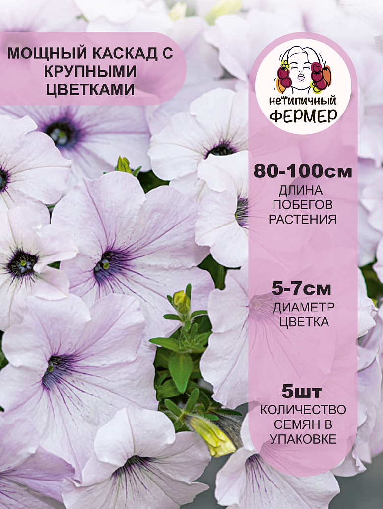 Изи Вейв Сильвер2