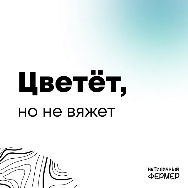 Цветет, но не вяжет