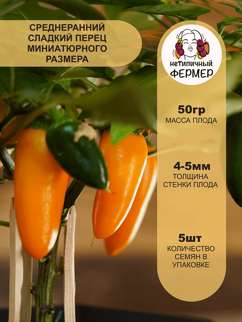 кеша2.png