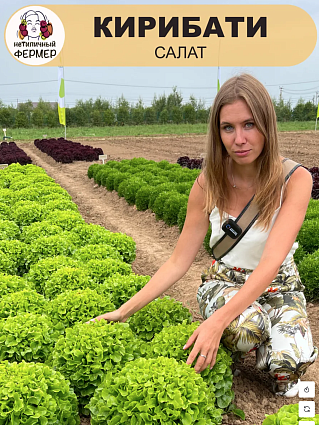 Не исп!!!Набор салатов: Кирибати, Санторо, Триплекс, Барлах. + пробки + питательный раствор