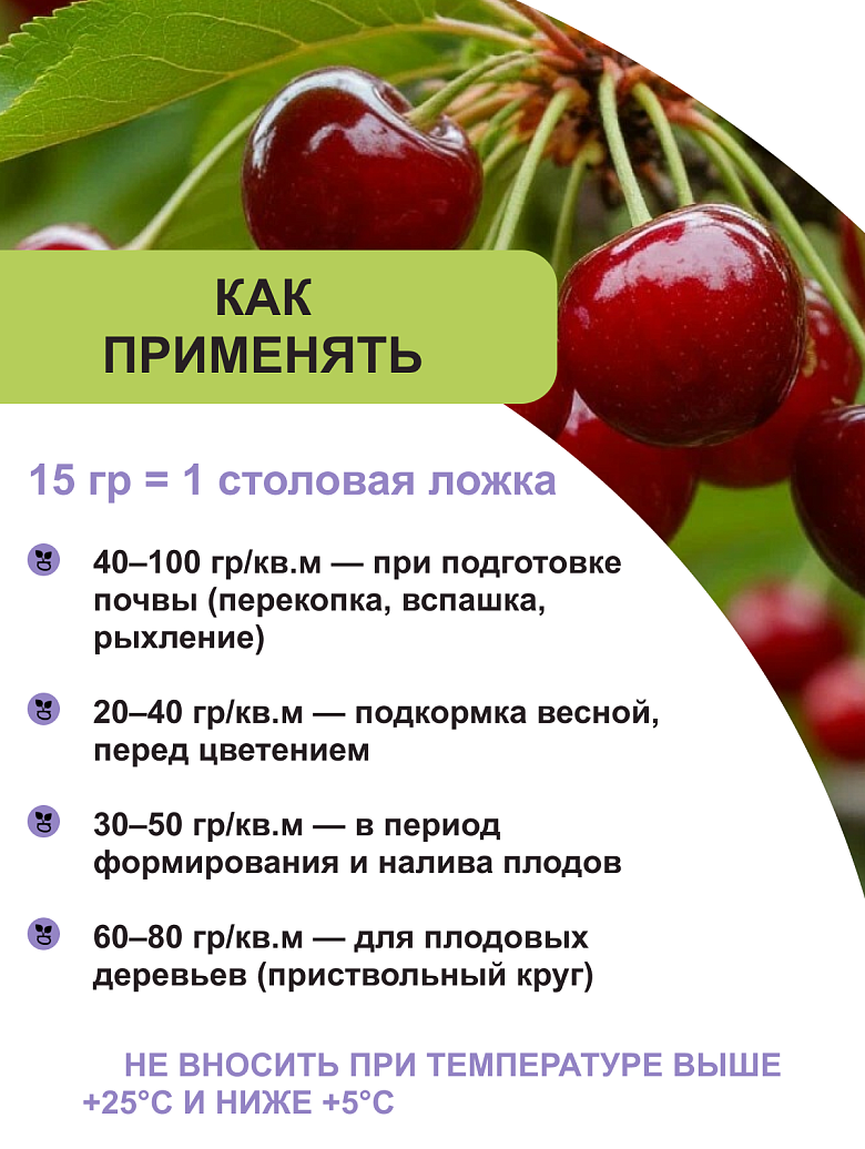 ягоды3