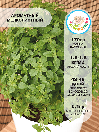 Базилик Греко "Агрономики" (1г) НФ