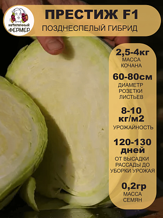 Капуста б/к Престиж F1 (0,2г) НФ