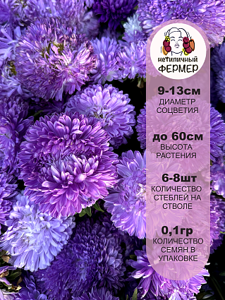 Астра Велия (0,1г) НФ