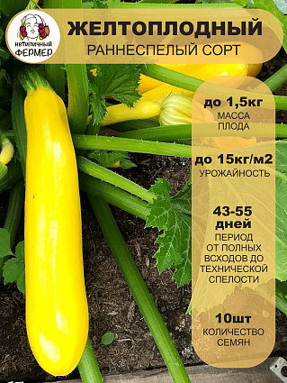 Кабачок Желтоплодный (10шт) НФ
