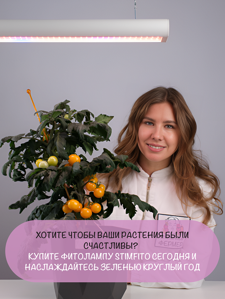 белая19