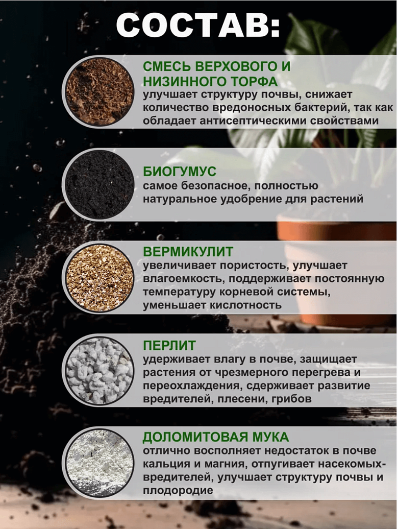 Снимок экрана 2025-09-04 в 20.46.30.png