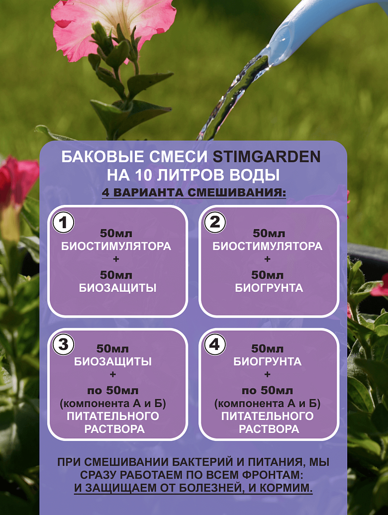 Бгрунт250-13.png
