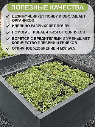 Горчица 0,5 кг