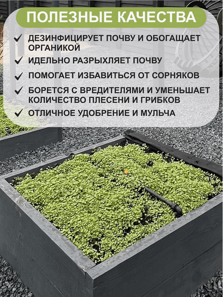 Снимок экрана 2025-09-04 в 20.44.25.png