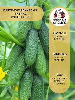 Огурец Хитрец F1 (5шт) НФ