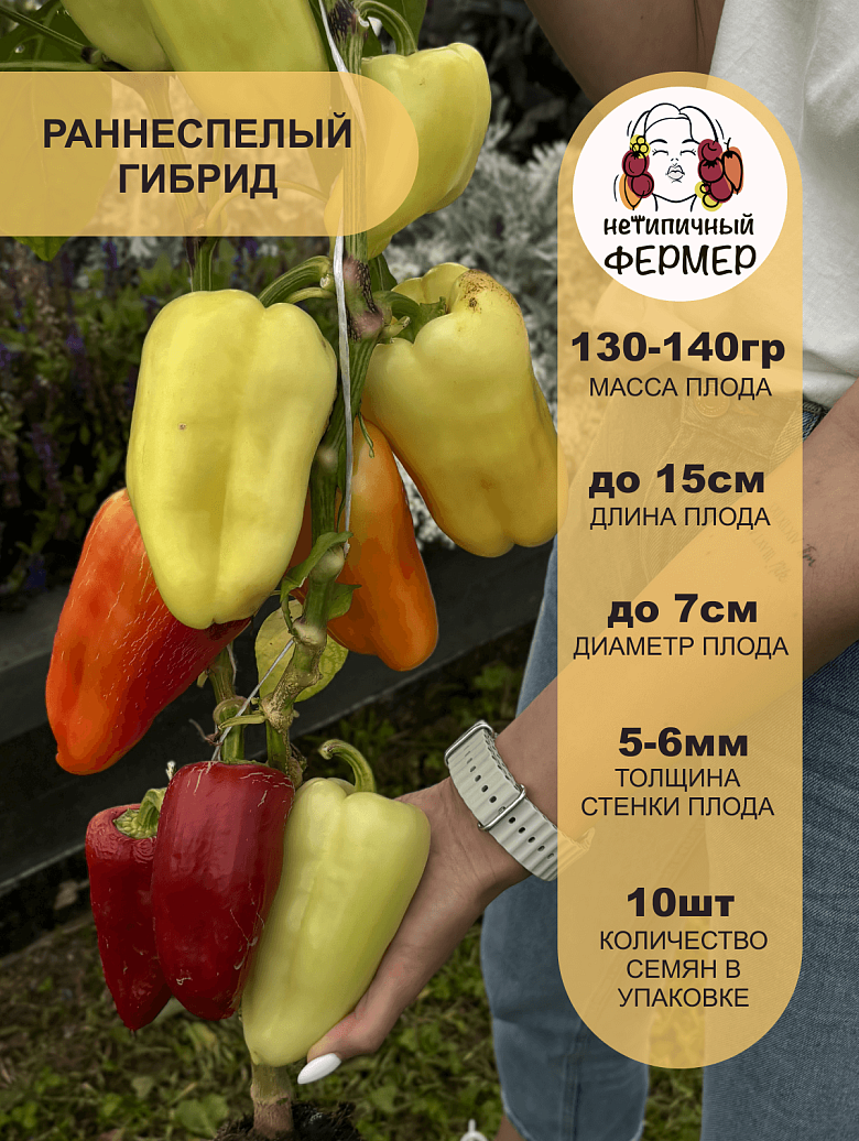 Злата Прага2.png