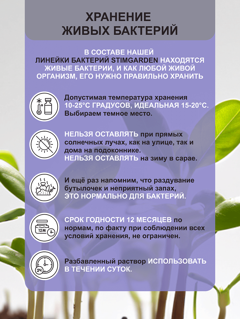 11ц.png