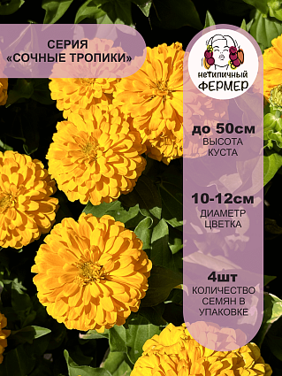 Цинния Желтая Субмарина F1 (4шт) НФ