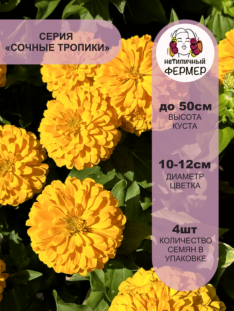ЖЕЛТАЯ СУБМАРИНА2.png