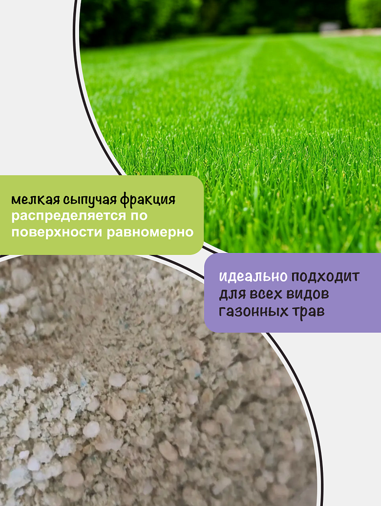 газон 4