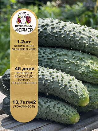 Огурец F1 Мамлюк (5шт) НФ