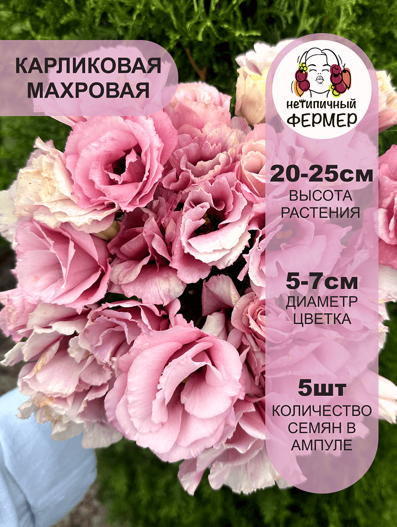 маргарэт3.png