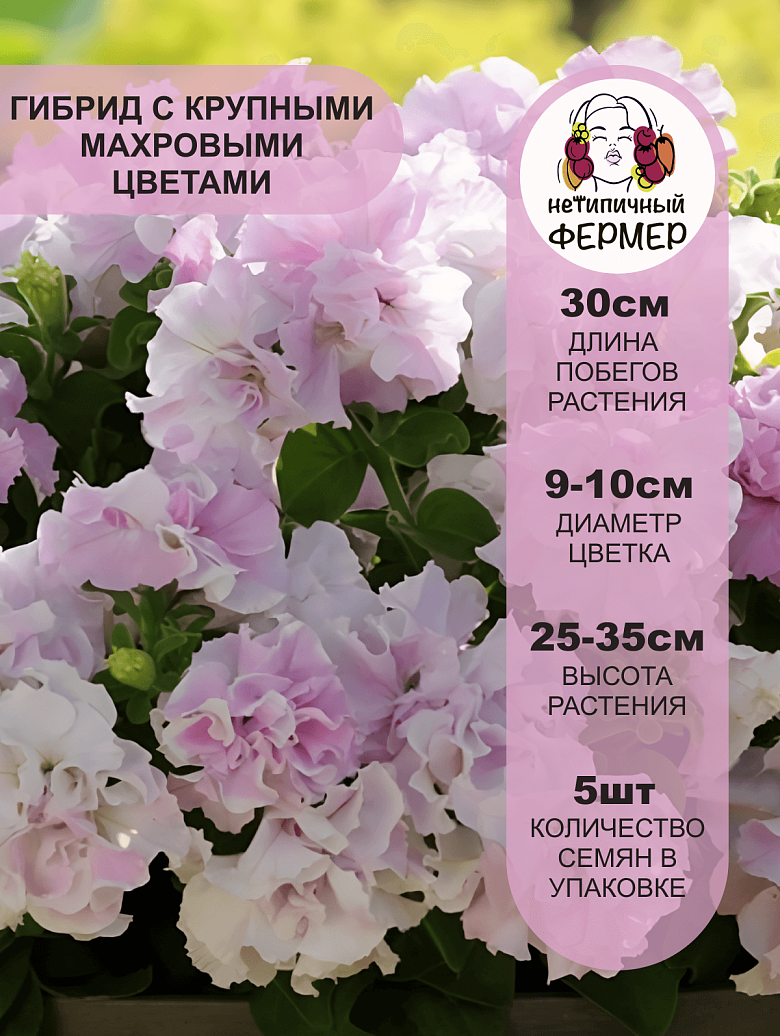Дабл каскад Орхид Мист2.png