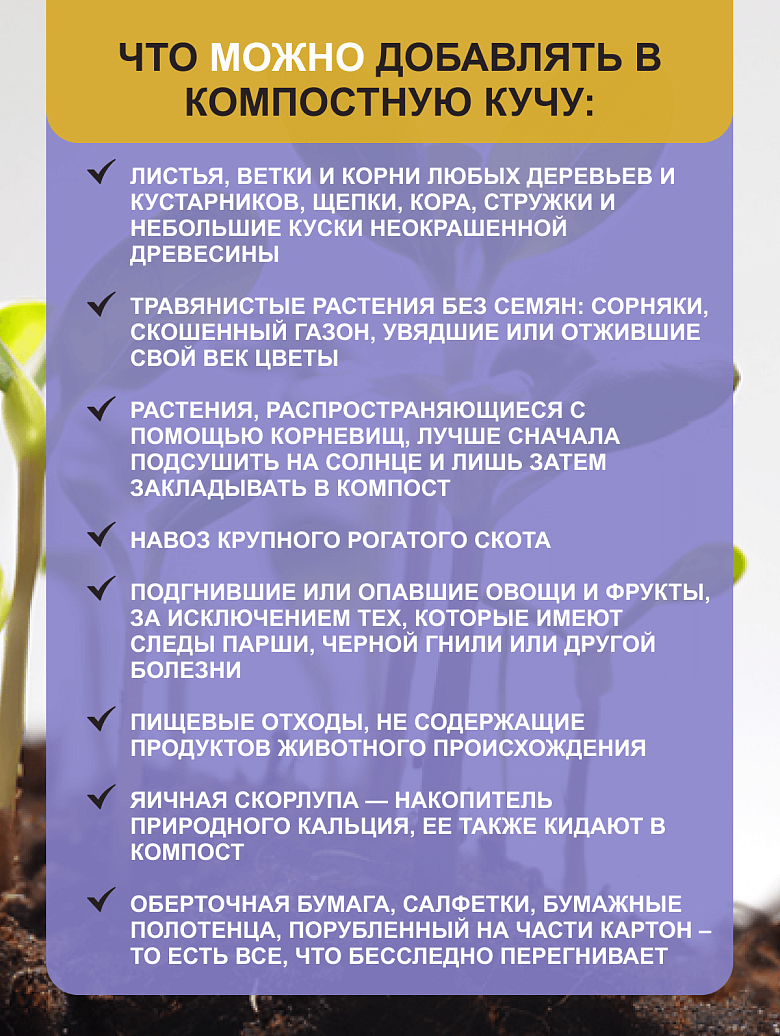 08й.png