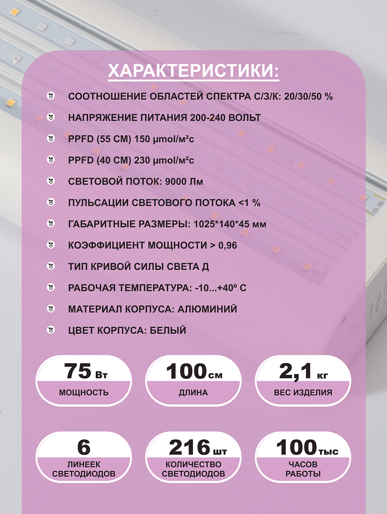 белая12