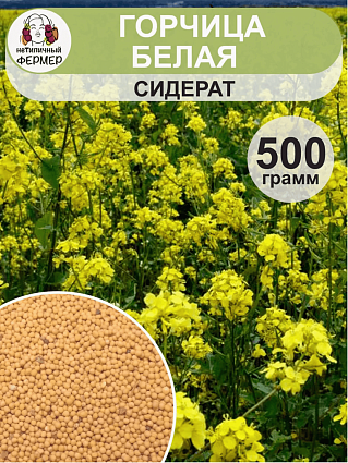 Горчица 0,5 кг