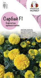 Бархатцы прямостоячие Сарбай (10шт) НФ