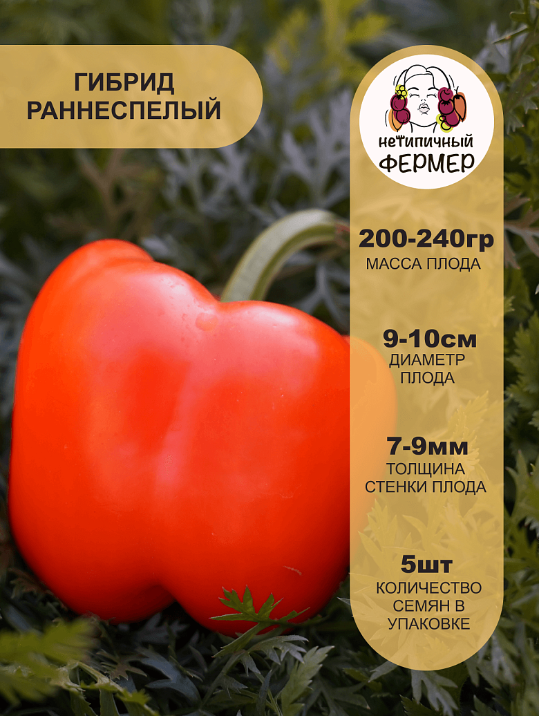 Аллар2.png