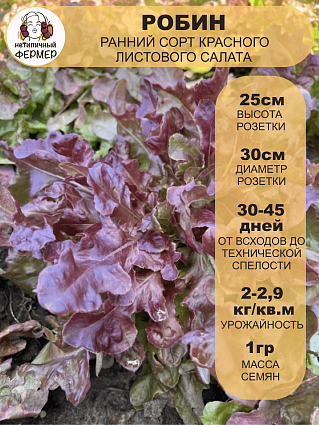 Салат листовой Робин (1г) НФ