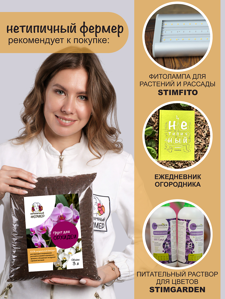 орхидеи8 сайт