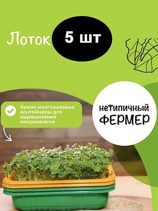 Лоток для микрозелени в ассортименте 5 шт