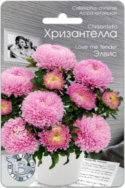Астра китайская Хризантелла Элвис (30шт) БТ