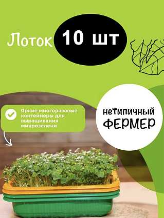 Лоток для микрозелени в ассортименте 10 шт