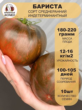 Томат Бариста (10шт) НФ