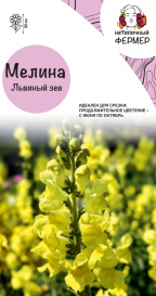 Львиный зев Мелина (0,01г) НФ