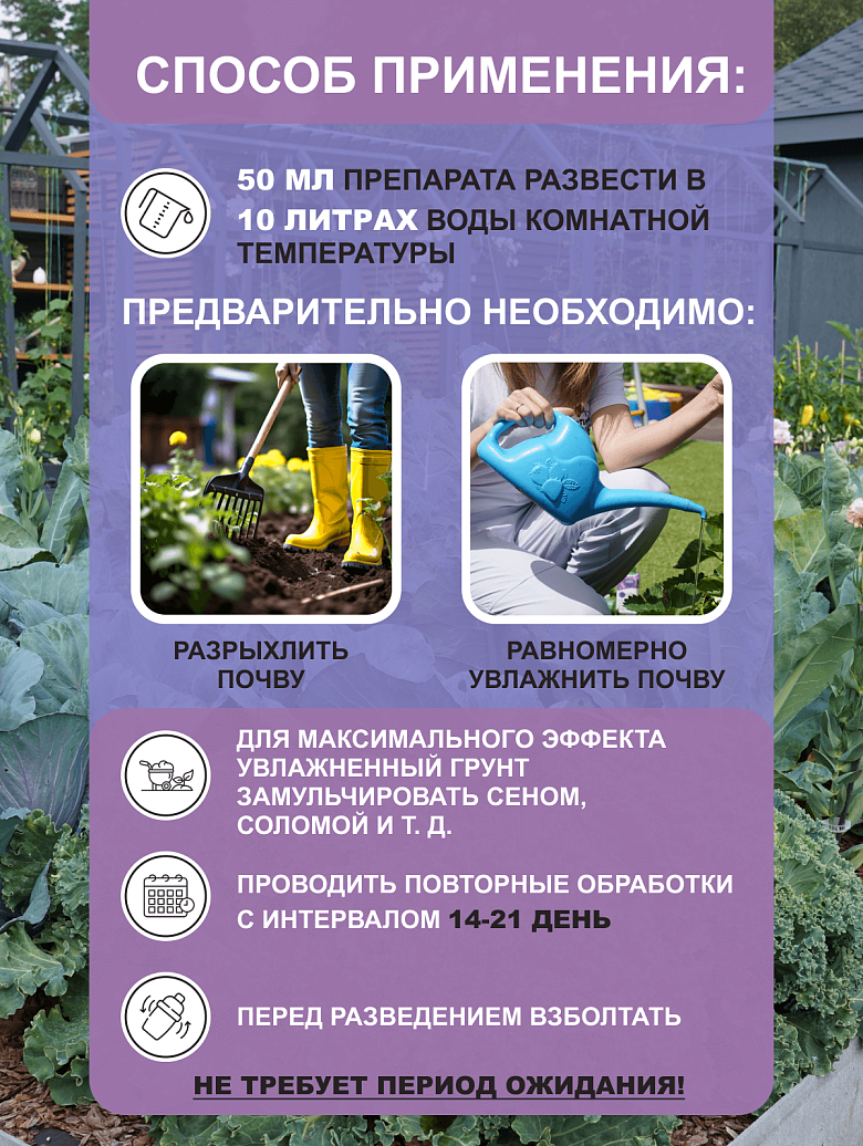 Бгрунт250-6.png