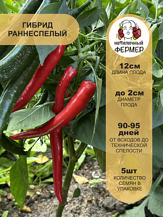 Перец острый Флорентина F1 (5шт) НФ