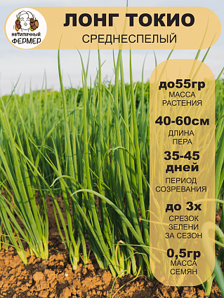 Лук батун Лонг Токио (0,5г) НФ