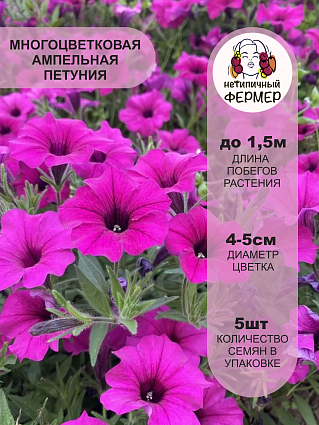 Набор петуний 14 шт.
