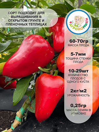 Перец Морозко "Агрономики" (0,25 г) НФ