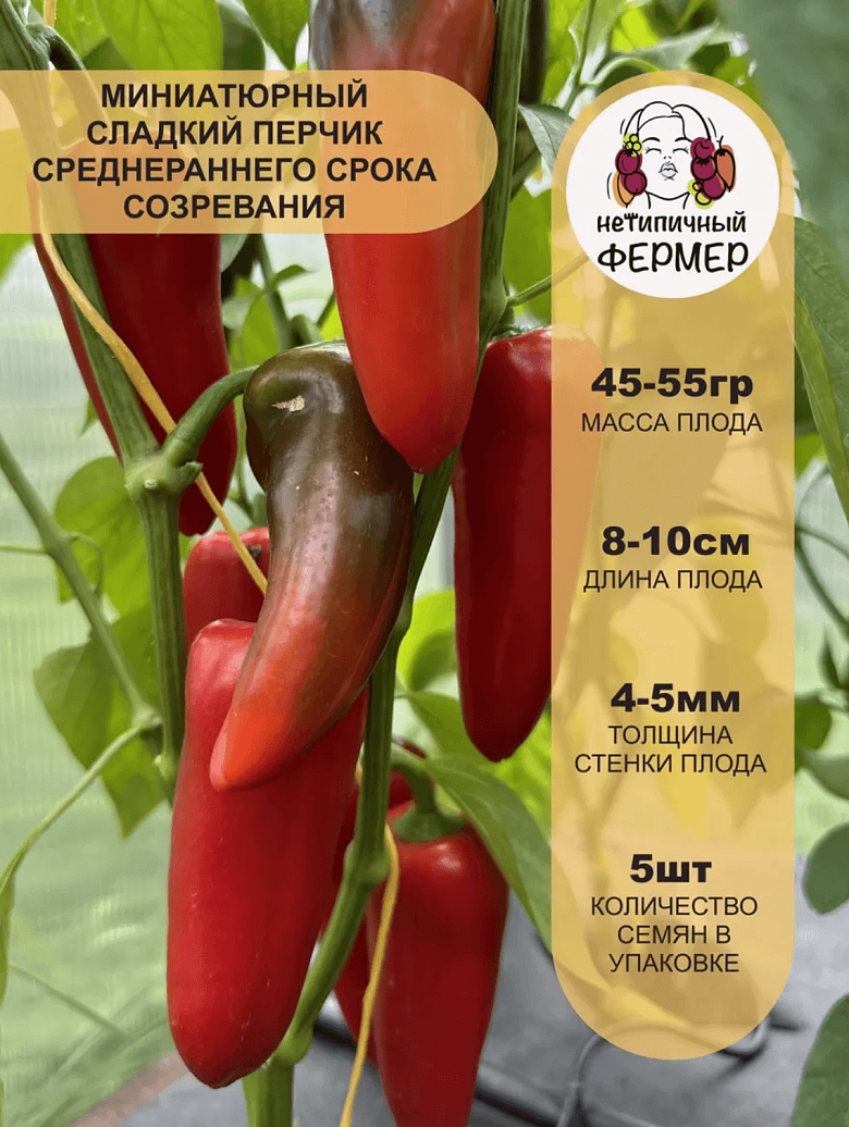 Снимок экрана 2025-09-04 в 22.43.57.png