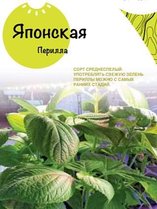 Микрозелень Перилла японская зелёнолистная 0,3 г