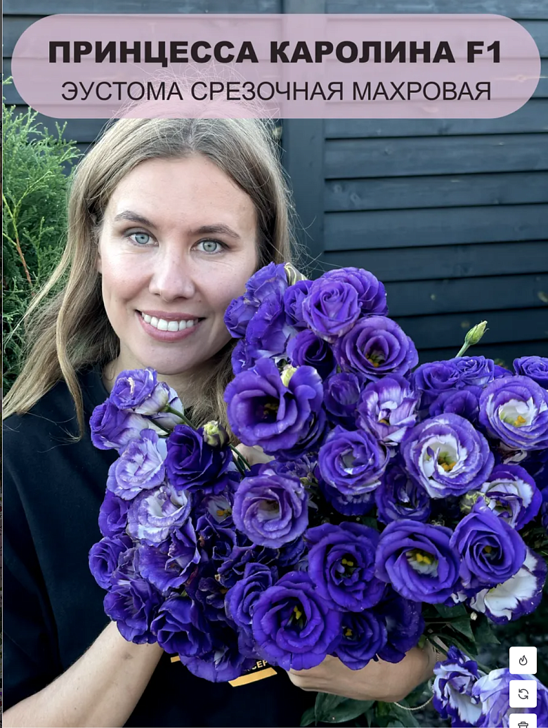 Снимок экрана 2025-12-19 в 00.15.46