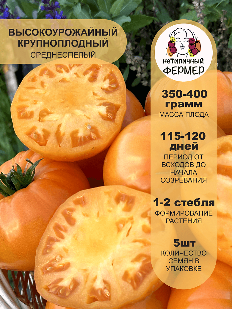 БУБЛИЧЕК2.png