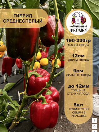 Набор овощей Партнер, Андрюша, Желтая Нежность, Паратунка