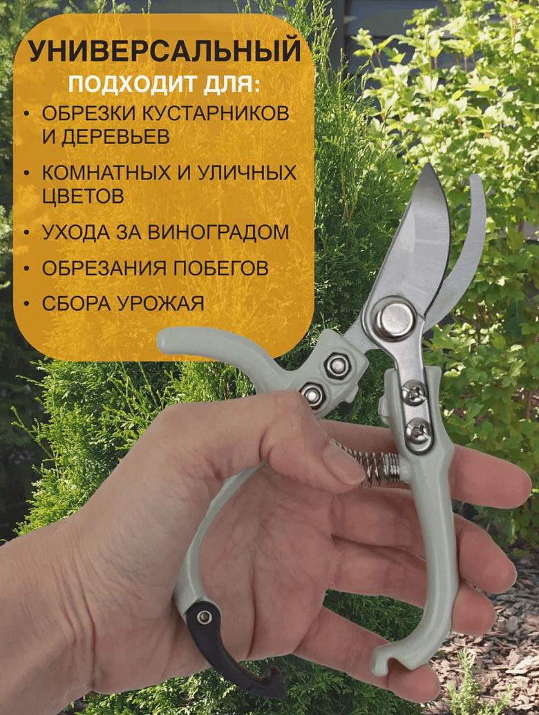 Снимок экрана 2025-09-04 в 20.58.06.png