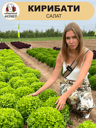 Салат Кирибати F1 (5шт) НФ