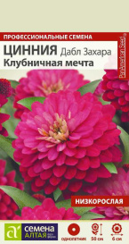 Цинния Дабл Захара Клубничная мечта (6шт) СА